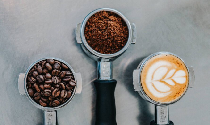 Palarnia kawy – czym jest i co warto wiedzieć na jej temat?