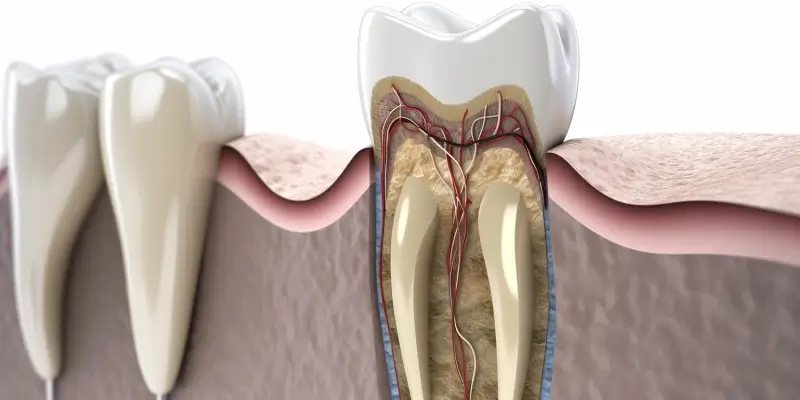 Dlaczego regularne wizyty u dentysty są tak ważne?