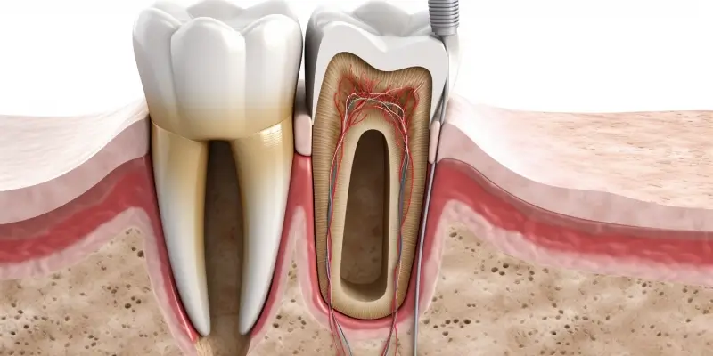 Higiena i opieka dentystyczna od najmłodszych lat
